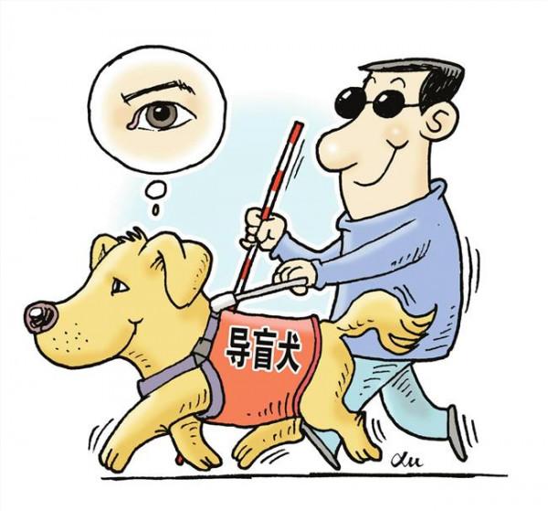 >王靖宇的多吗 王靖宇:开创导盲犬的中国起点