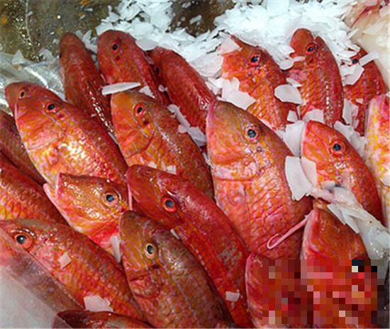 尼罗红鱼的营养价值 著名的海鲜美食