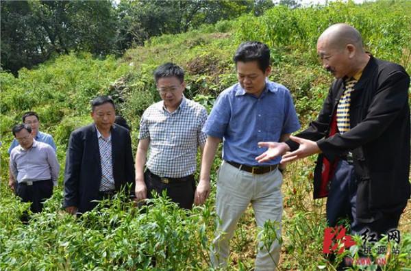 常德市委罗先东 中共常德市委书记王群在市委七届一次全会上的讲话