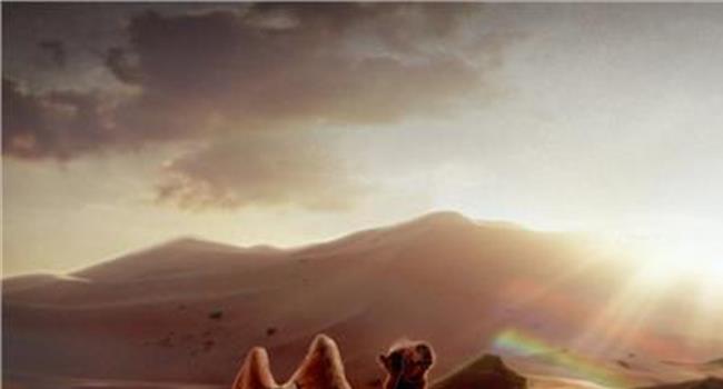 【《沙漠骆驼》歌词】抖音最近很火的8首歌曲  《沙漠骆驼》迅速登顶!