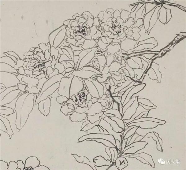 《陆抑非花鸟教学示范作品——工笔花卉写生》中国美院 名家精选