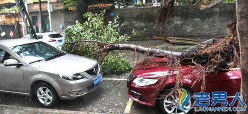 >台风“苏迪罗”席卷中国  车主们都要注意些什么？