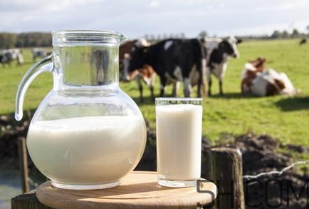 怎么辨别牛奶的好坏？怎么辨别牛奶的真假？