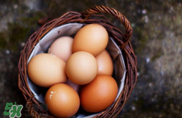 天天吃鸡蛋好吗？天天吃鸡蛋会发胖吗？