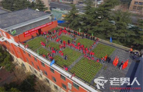 >郑州青少年楼顶植绿 欲打造城市“空中花园”