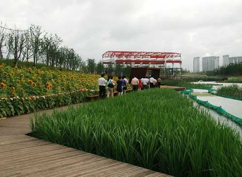 >俞孔坚的家 世博后滩公园设计专家俞孔坚:“我自爱我的野草”