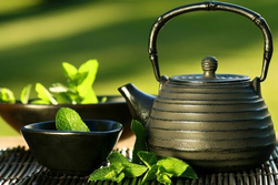 喝茶养生有哪些讲究 茶道养生功效