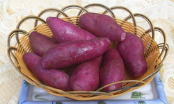 秋季养生薯类选择是王道 营养健康一级棒