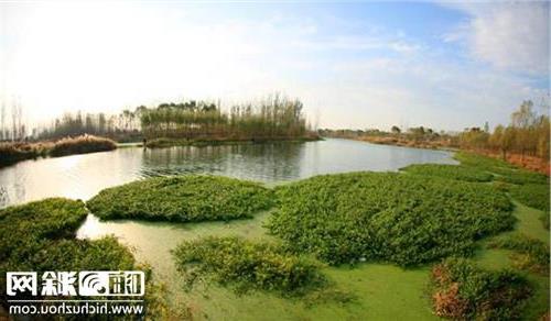 >滁州市副市长汪建中 滁州市委常委、副市长汪建中主持召开城南湿地公园景观设计汇报会