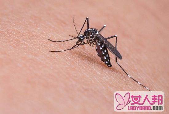 蚊子的危害有哪些 哪些人容易招惹蚊子