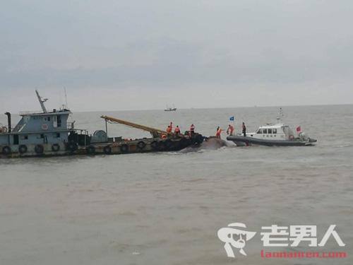>江苏盐城渔船相撞最新进展 其中六人安全获救