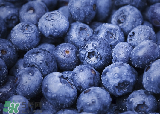 蓝莓是什么颜色？蓝莓泡水什么颜色？