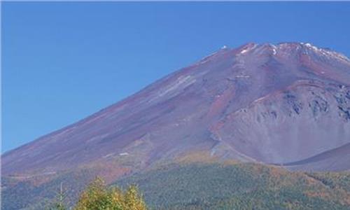 富士山樱花 埃尔法蒙娜丽莎让你如坐富士山樱花树下