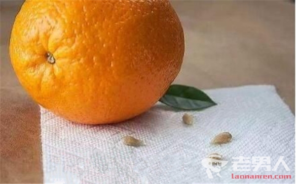 >男子吃20斤橘险丧命 水果籽究竟可不可以吃