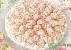 白草莓多少钱一斤?白草莓在哪里可以买?
