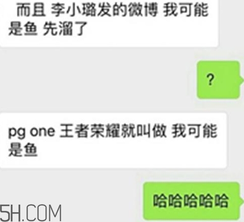 我可能是鱼什么梗？李小璐我可能是鱼什么意思