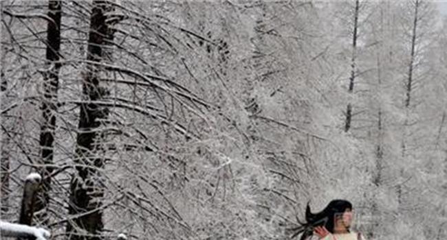 【雪花飞舞如同什么】描写下雪的优美句子 雪花飞舞的冬天终于来了