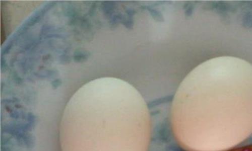 煎鸡蛋作文(4篇)