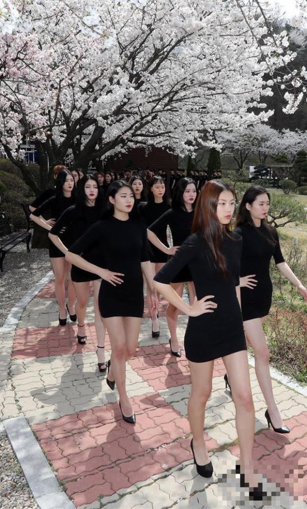 >韩国准女模脚踩15厘米高跟鞋，樱花树下苦练走秀，身姿优雅