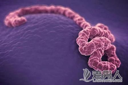 深圳排除一例埃博拉留院观察病例