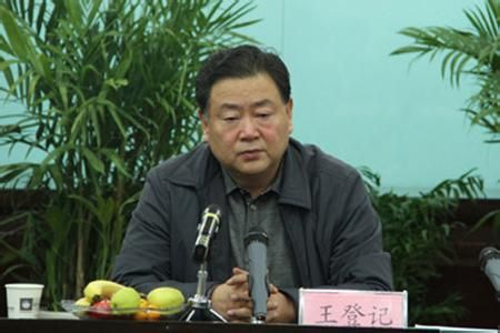陕西:国土厅厅长王登记怕遭人肉 找人全网删照片