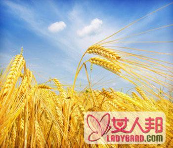 >【小麦的营养成分】小麦的药用价值_小麦麦麸的功效