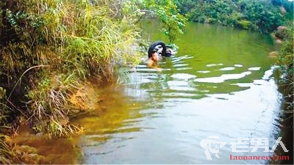 19岁少女落水民警救人 民警奋不顾身救人获群众称赞