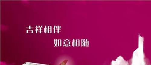 >吉祥航空股票 吉祥航空去年增收不增利 今明两年将引进7架B787