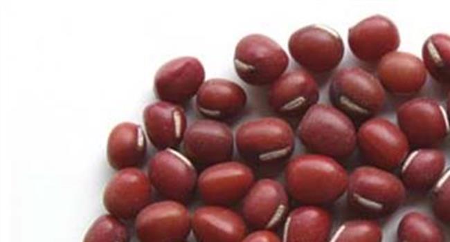 【长期喝赤小豆的副作用】赤小豆赤小豆可以长期吃吗 有副作用吗