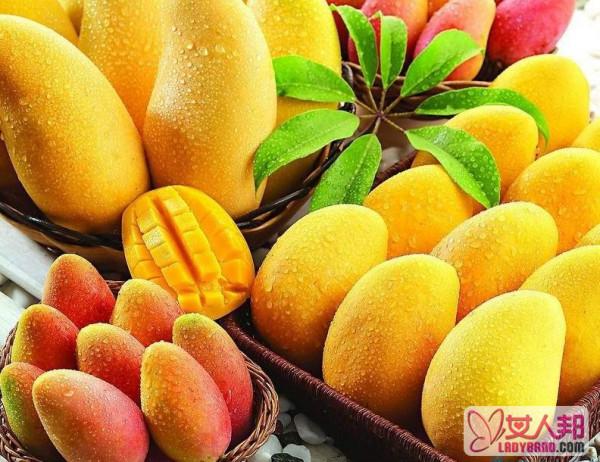>芒果品种和栽培方法