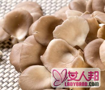 >【凤尾菇怎么做好吃】凤尾菇的做法_凤尾菇的营养价值