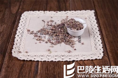 >新疆罗布麻茶的冲泡方法与食用方法介绍