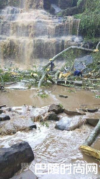 加纳景区大树倒塌事故致20人死亡 其中多为高中生