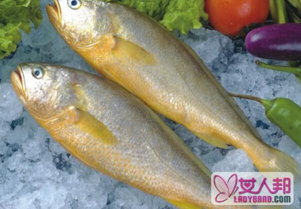 >野生黄鱼的营养成分 吃野生黄鱼的营养价值