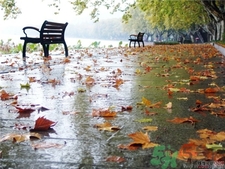 >一场秋雨一场寒的意思?一场秋雨一场寒从什么时候开始?