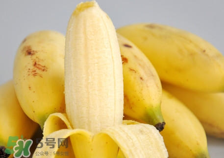 小米蕉是凉性的吗？小米蕉有籽可以吃吗？