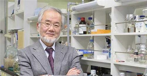 >诺贝尔生理学或医学奖ips 日本科学家获得2016年诺贝尔生理学或医学奖