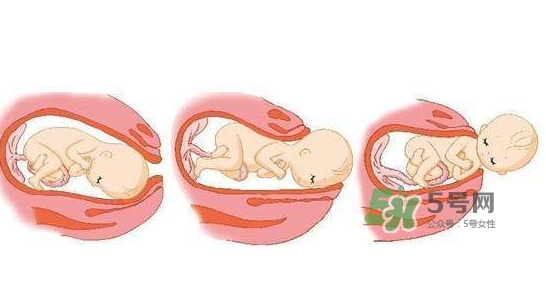 胎儿什么时候入盆？胎儿入盆后胎动会减少吗？