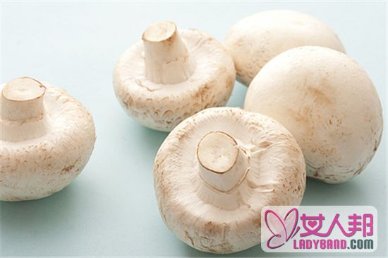 白灵菇有什么好处 白灵菇的营养价值