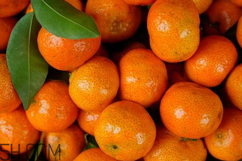 沙糖桔和蜜桔的区别 砂糖橘好吃还是蜜橘好吃