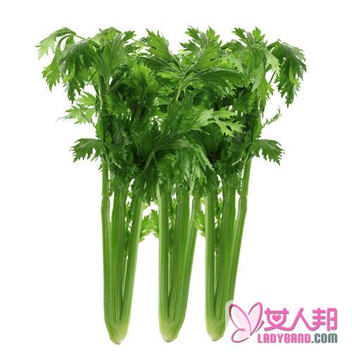 >西芹的功效与作用及食用方法_西芹的营养价值