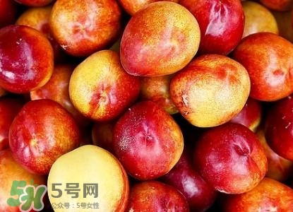 >桃子的种类有哪些？哪种桃子最好吃？