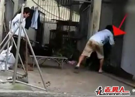 上海野生动物园虐熊事件属实  驯兽员被开除【图】