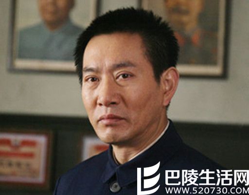 杜敏赫电视剧罪域简介 新任市委书记对抗商界枭雄的故事