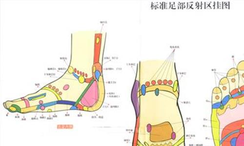 脚面反射区 脚背上的乳腺反射区在什么部位