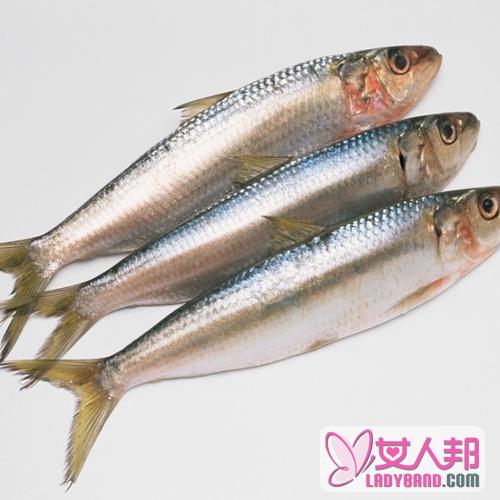 >沙丁鱼的功效与作用及食用方法_沙丁鱼的营养价值
