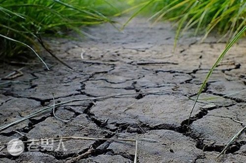 东北黑土地退化严重 土壤保护急需提上日程