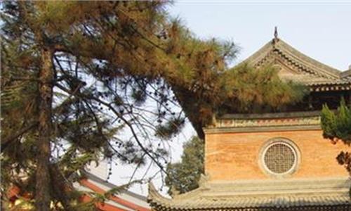 西安大兴善寺怎样祈福 “和而不同书画汇”在西安大兴善寺举行(组图)