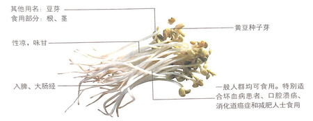 黄豆芽的功效作用之预防动脉硬化
