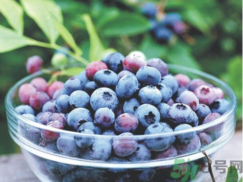 蓝莓和什么榨汁好喝?蓝莓榨汁搭配